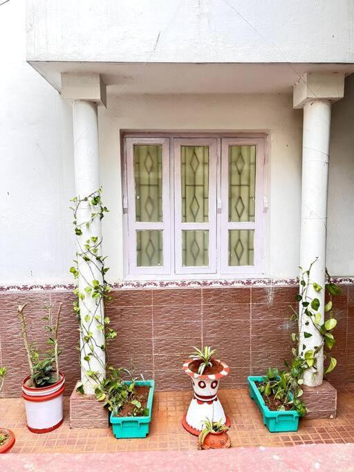 Gauranga Kutir-A Spiritual Villa Retreat بوهفانيشفار المظهر الخارجي الصورة